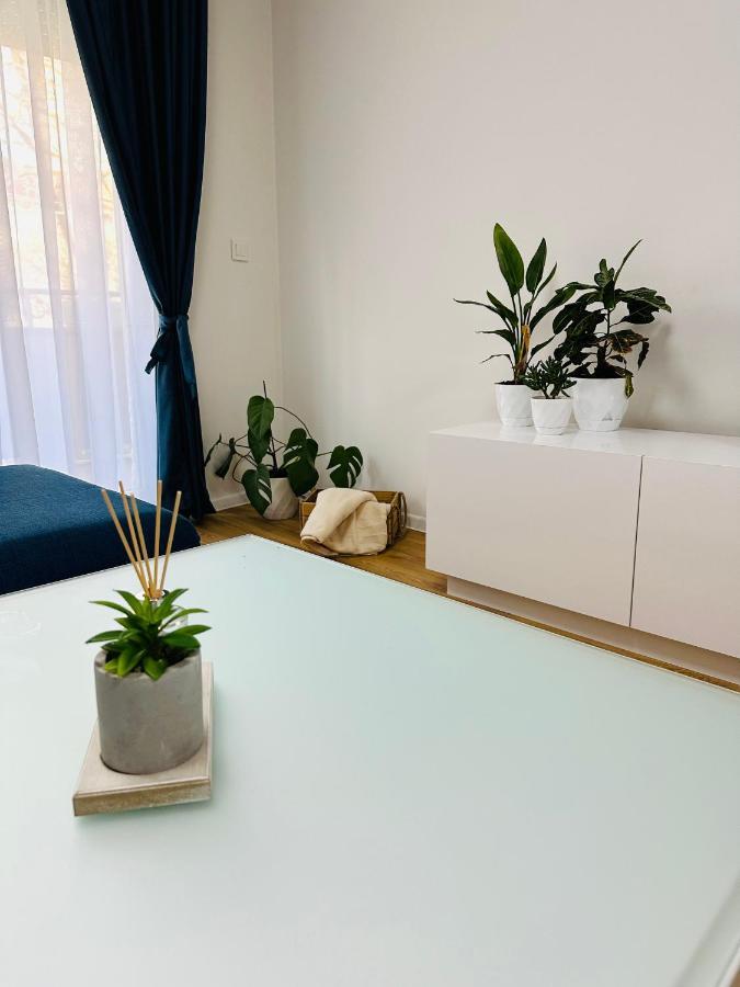 סקופיה Daylight Apartment מראה חיצוני תמונה